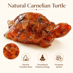 Carnelian Tortoise — natural carnelian chips set in clear resin — KaalVeda