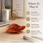Carnelian Tortoise — where to place it: study table, desk, cash counter — KaalVeda