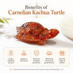 Carnelian Tortoise — benefits of the carnelian kachua — KaalVeda