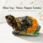 Dhan Yog Tortoise — money magnet kachua in tiger eye, pyrite, citrine and aventurine — KaalVeda