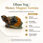 Dhan Yog Tortoise — a symbol of wealth, success and protection — KaalVeda