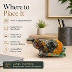 Dhan Yog Tortoise — where to place it in home or office — KaalVeda