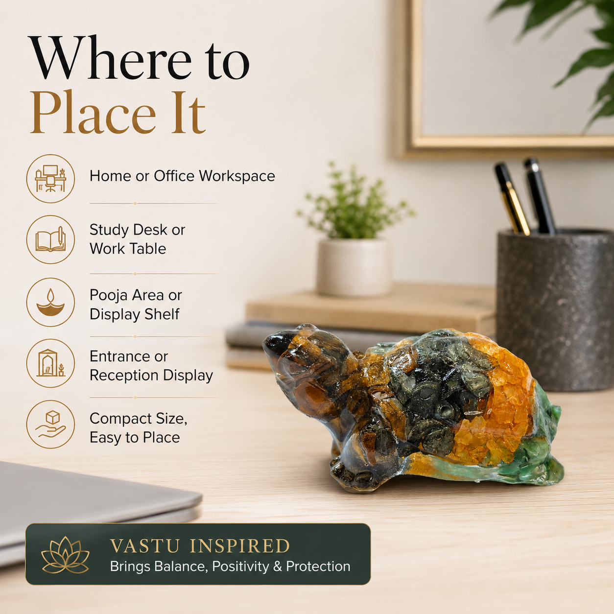 Dhan Yog Tortoise — where to place it in home or office — KaalVeda
