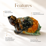 Dhan Yog Tortoise — multi-stone chips set in clear resin — KaalVeda