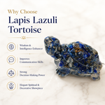 Lapis Lazuli Tortoise — why choose the lapis kachua — KaalVeda