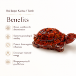 Red Jasper Tortoise — benefits at a glance — KaalVeda
