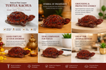 Red Jasper Tortoise — strength, stability, protection and prosperity — KaalVeda