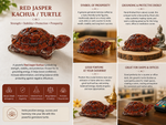 Red Jasper Tortoise — full guide to placement and benefits — KaalVeda