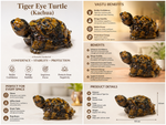 Tiger Eye Tortoise — benefits and product details — KaalVeda