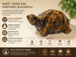 Tiger Eye Tortoise — the tortoise as a vastu symbol of Lord Kurma — KaalVeda